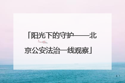 阳光下的守护——北京公安法治一线观察