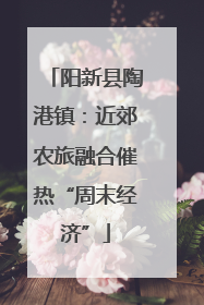 阳新县陶港镇：近郊农旅融合催热“周末经济”