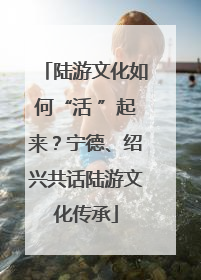 陆游文化如何“活 ”起来？宁德、绍兴共话陆游文化传承