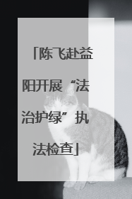 陈飞赴益阳开展“法治护绿”执法检查