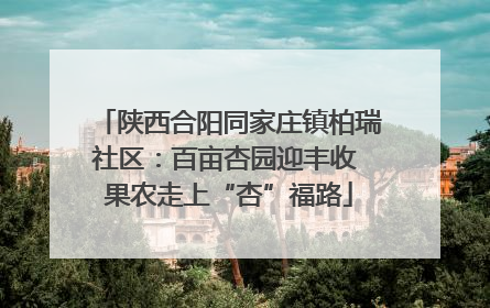 陕西合阳同家庄镇柏瑞社区：百亩杏园迎丰收 果农走上“杏”福路