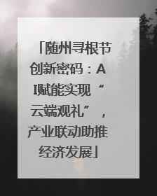 随州寻根节创新密码：AI赋能实现“云端观礼”，产业联动助推经济发展