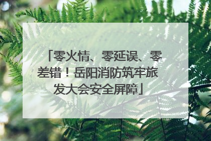 零火情、零延误、零差错！岳阳消防筑牢旅发大会安全屏障