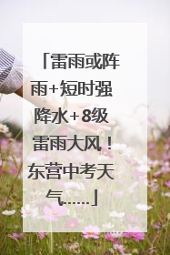 雷雨或阵雨+短时强降水+8级雷雨大风！东营中考天气……