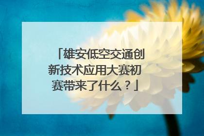 雄安低空交通创新技术应用大赛初赛带来了什么？