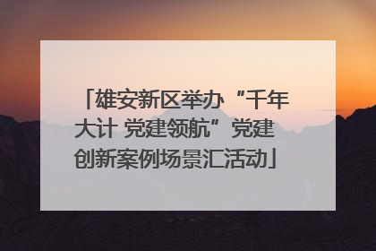 雄安新区举办“千年大计 党建领航”党建创新案例场景汇活动