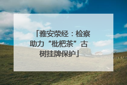 雅安荥经：检察助力“枇杷茶”古树挂牌保护