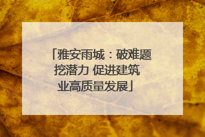 雅安雨城：破难题 挖潜力 促进建筑业高质量发展