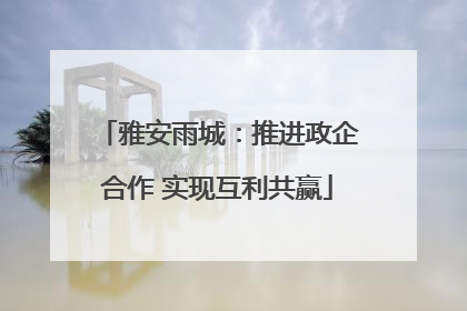 雅安雨城：推进政企合作 实现互利共赢