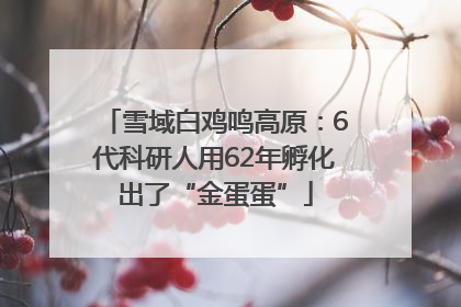 雪域白鸡鸣高原：6代科研人用62年孵化出了“金蛋蛋”