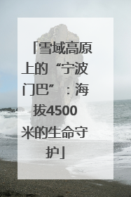 雪域高原上的“宁波门巴”：海拔4500米的生命守护