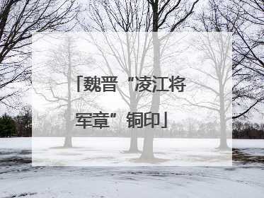 魏晋“凌江将军章”铜印
