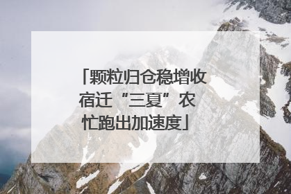 颗粒归仓稳增收 宿迁“三夏”农忙跑出加速度