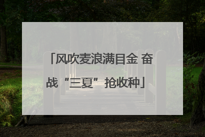 风吹麦浪满目金 奋战“三夏”抢收种