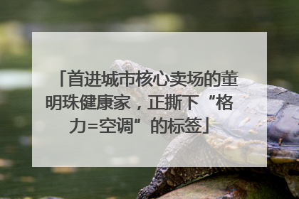 首进城市核心卖场的董明珠健康家，正撕下“格力=空调”的标签