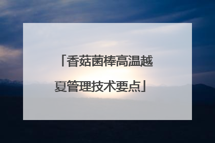 香菇菌棒高温越夏管理技术要点