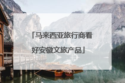 马来西亚旅行商看好安徽文旅产品