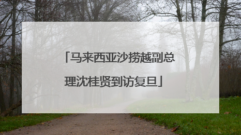 马来西亚沙捞越副总理沈桂贤到访复旦