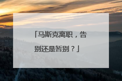 马斯克离职，告别还是暂别？
