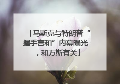 马斯克与特朗普“握手言和”内幕曝光，和万斯有关