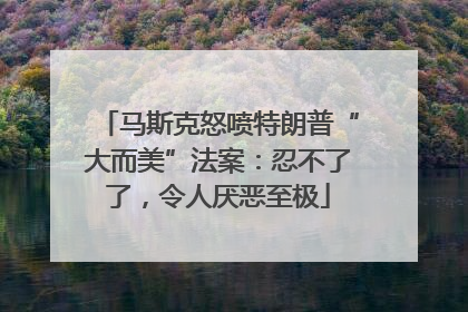 马斯克怒喷特朗普“大而美”法案：忍不了了，令人厌恶至极
