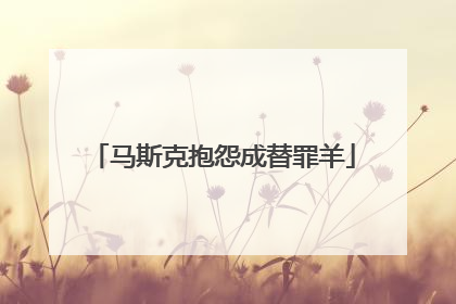 马斯克抱怨成替罪羊