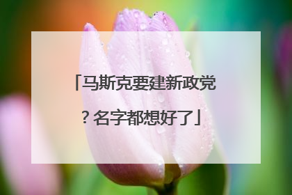 马斯克要建新政党？名字都想好了