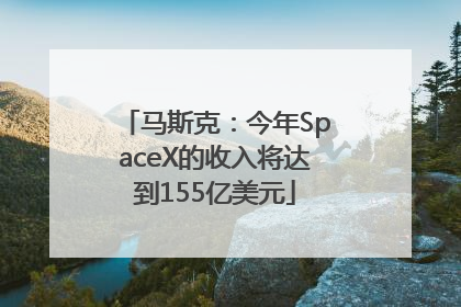 马斯克：今年SpaceX的收入将达到155亿美元
