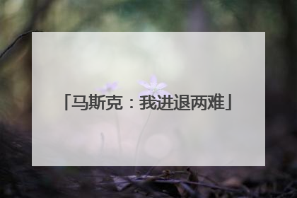 马斯克：我进退两难