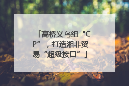 高桥义乌组“CP”，打造湘非贸易“超级接口”