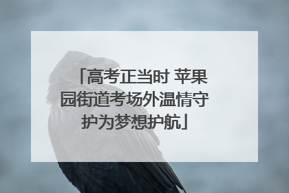高考正当时 苹果园街道考场外温情守护为梦想护航