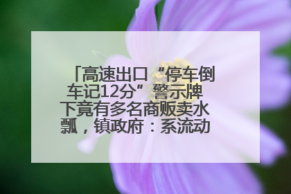 高速出口“停车倒车记12分”警示牌下竟有多名商贩卖水瓢，镇政府：系流动摊位，已多次劝离
