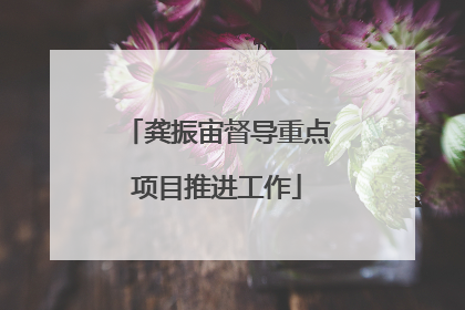 龚振宙督导重点项目推进工作