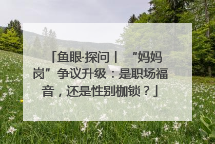 鱼眼·探问丨 “妈妈岗”争议升级：是职场福音，还是性别枷锁？
