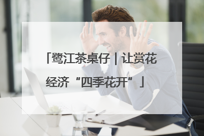 鹭江茶桌仔｜让赏花经济“四季花开”