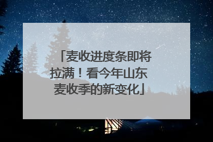 麦收进度条即将拉满！看今年山东麦收季的新变化