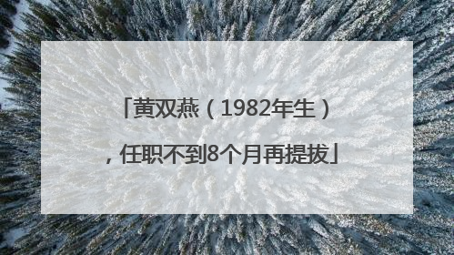 黄双燕（1982年生），任职不到8个月再提拔