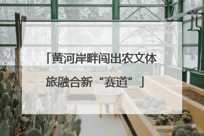 黄河岸畔闯出农文体旅融合新“赛道”