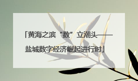 黄海之滨“数”立潮头——盐城数字经济崛起进行时