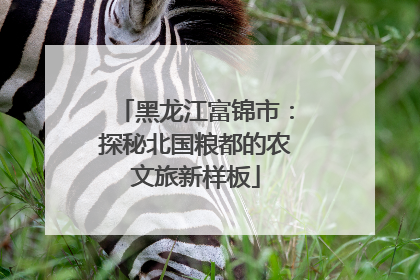 黑龙江富锦市：探秘北国粮都的农文旅新样板