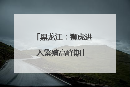 黑龙江：狮虎进入繁殖高峰期