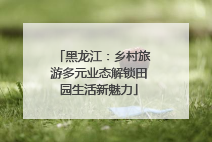 黑龙江：乡村旅游多元业态解锁田园生活新魅力