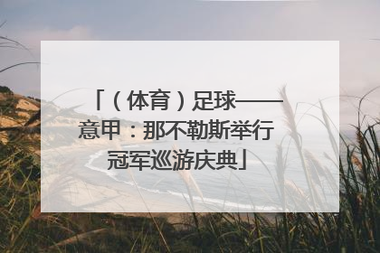 （体育）足球——意甲：那不勒斯举行冠军巡游庆典