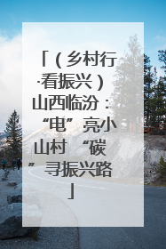 （乡村行·看振兴）山西临汾：“电”亮小山村 “碳”寻振兴路