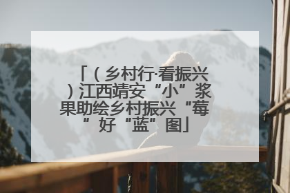 （乡村行·看振兴）江西靖安“小”浆果助绘乡村振兴“莓”好“蓝”图