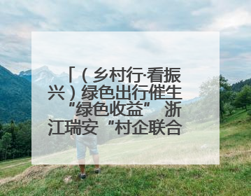 （乡村行·看振兴）绿色出行催生“绿色收益” 浙江瑞安“村企联合体”促共富