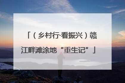 （乡村行·看振兴）赣江畔滩涂地“重生记”