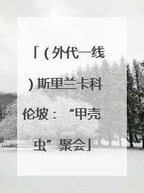 （外代一线）斯里兰卡科伦坡：“甲壳虫”聚会