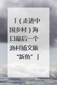 （走进中国乡村）海口最后一个渔村捕文旅“新鱼”