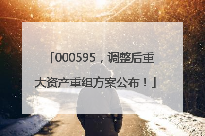 000595，调整后重大资产重组方案公布！
